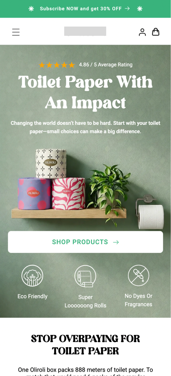 Shopify landing page optimization concept 1